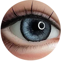 24.webp
